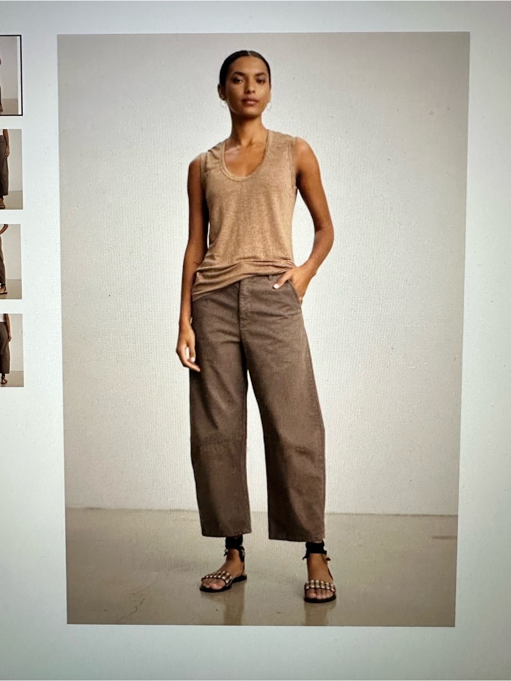 Velvet by Graham & Spencer Taupe/Brown Barrel Pants